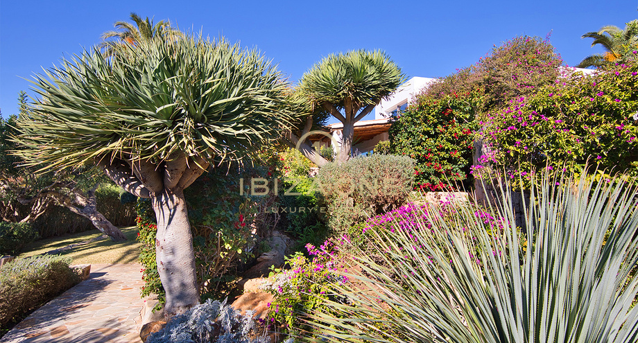 Fotos de la propiedad