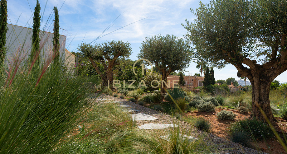 Photos of the property