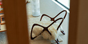 Photo de l'objet