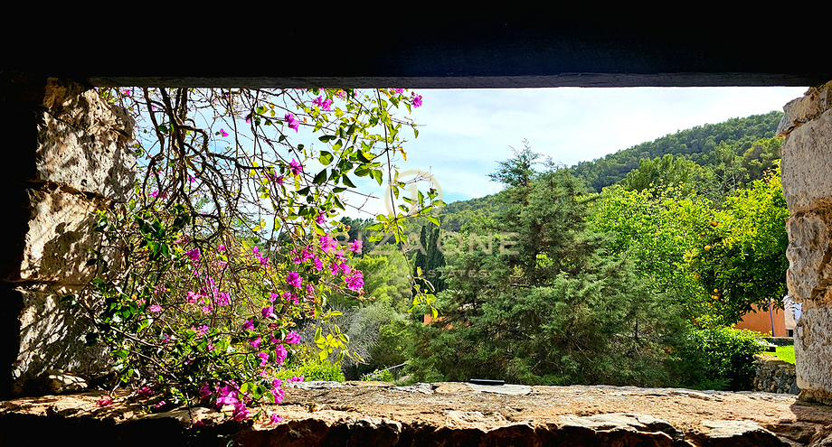 صور العرض