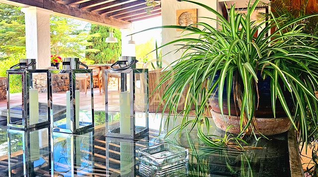 Weelderige luxe villa gelegen in een charmante oase van rust, omringd door heuvels en groene vegetatie te huur, Ibiza