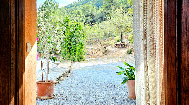 Sontuosa villa di lusso immersa in un'incantevole oasi di tranquillità circondata da colline e vegetazione verdeggiante in affitto, Ibiza