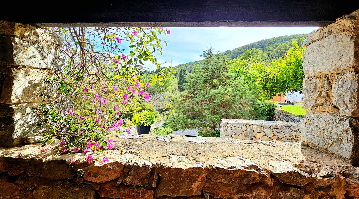 Sumptuous luxury villa nestled in a charming oasis of tranquility surrounded by hills and verdant vegetation for rent, Ibiza