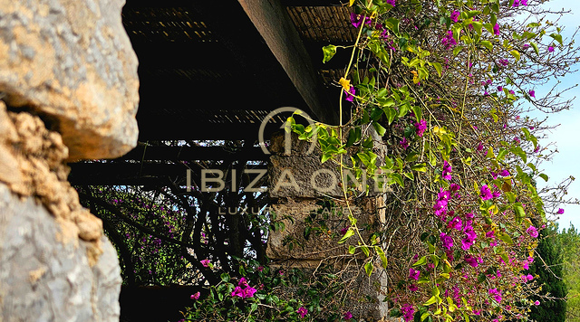 Suntuosa villa de lujo situada en un encantador oasis de tranquilidad rodeado de colinas y vegetación verde en alquiler, Ibiza