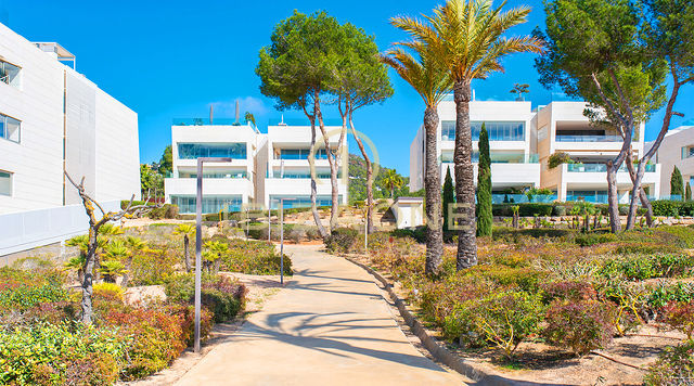 Ático de lujo en la urbanización cerrada de Es Pouet en venta, Ibiza - Ático de lujo en la urbanización cerrada de Es Pouet en alquiler, Ibiza