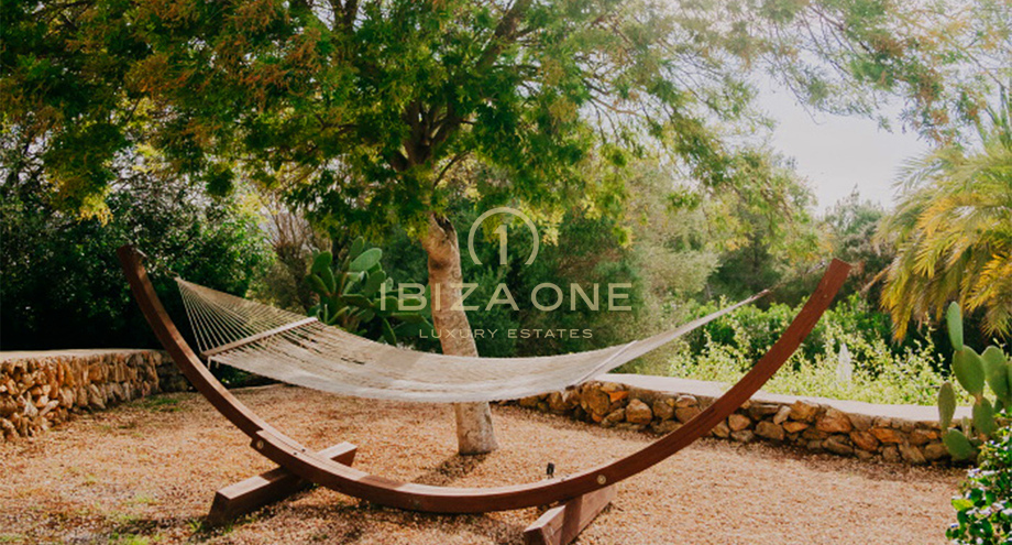 Photos of the property