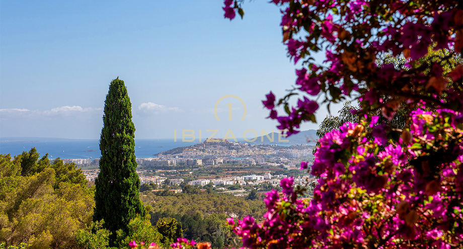 Photos of the property