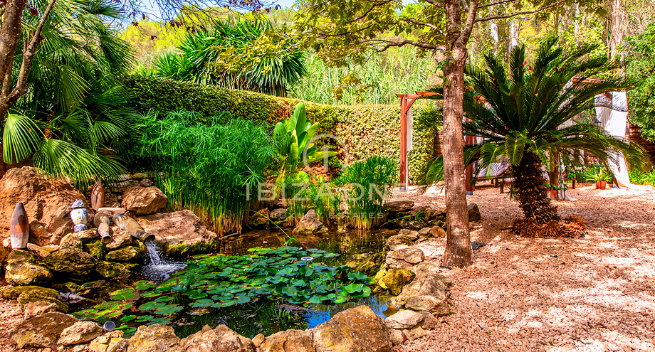 صور العرض