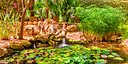 صور العرض