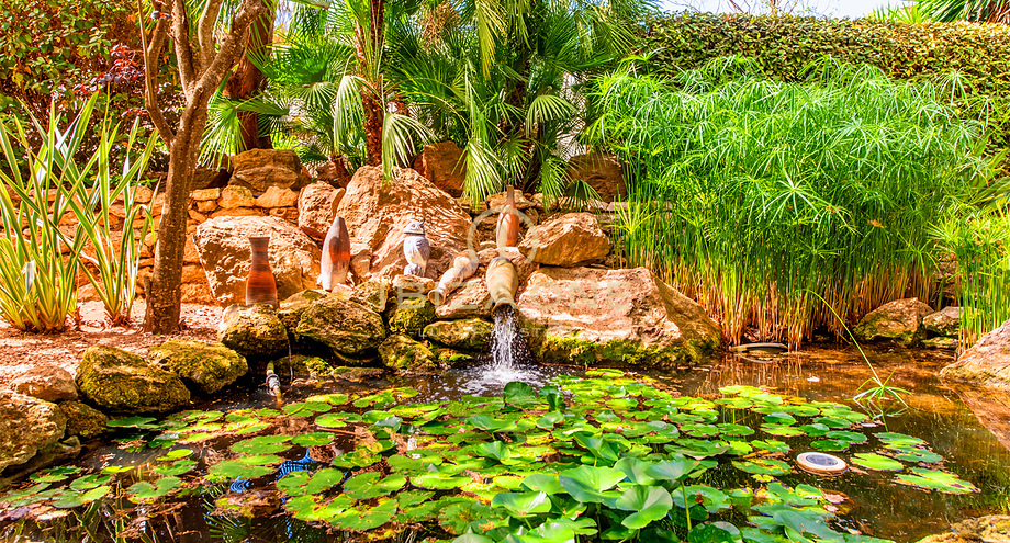 صور العرض