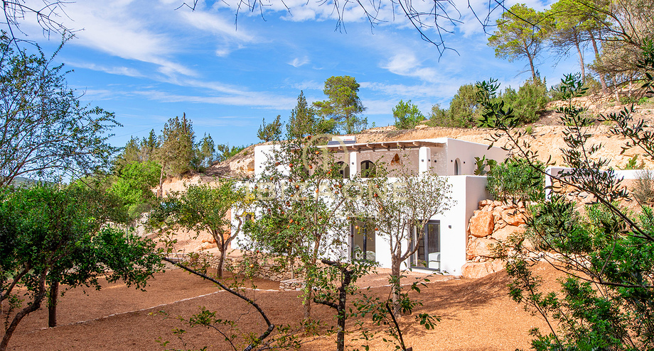 Photos of the property