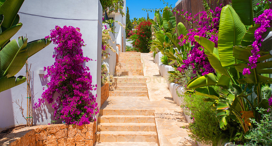 Foto van het vastgoed