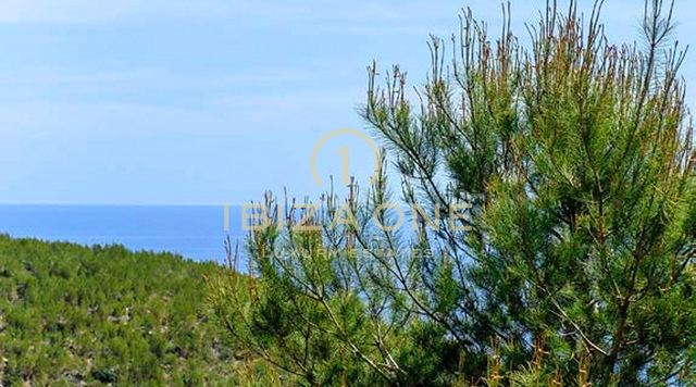 Neu renovierte Luxusvilla mit atemberaubendem Meerblick zu verkaufen, Ibiza