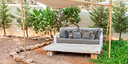 صور العرض