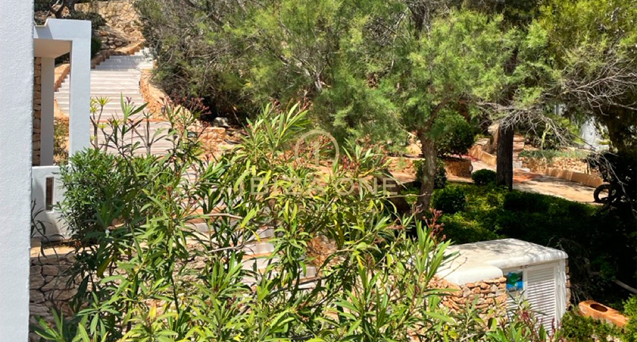 Photos of the property