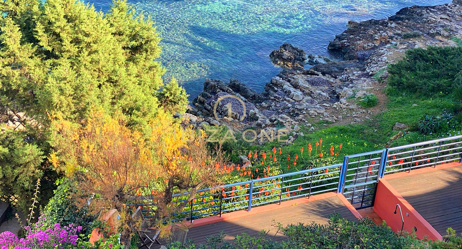 Photos of the property