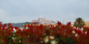 Foto dell'oggetto