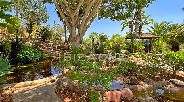 Villa de luxe à louer à long terme près de Bambuddha, avec piscine bio et intimité totale, Ibiza