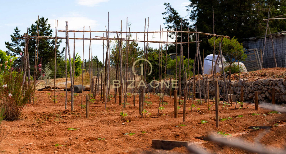 Фотографии объектов недвижимости