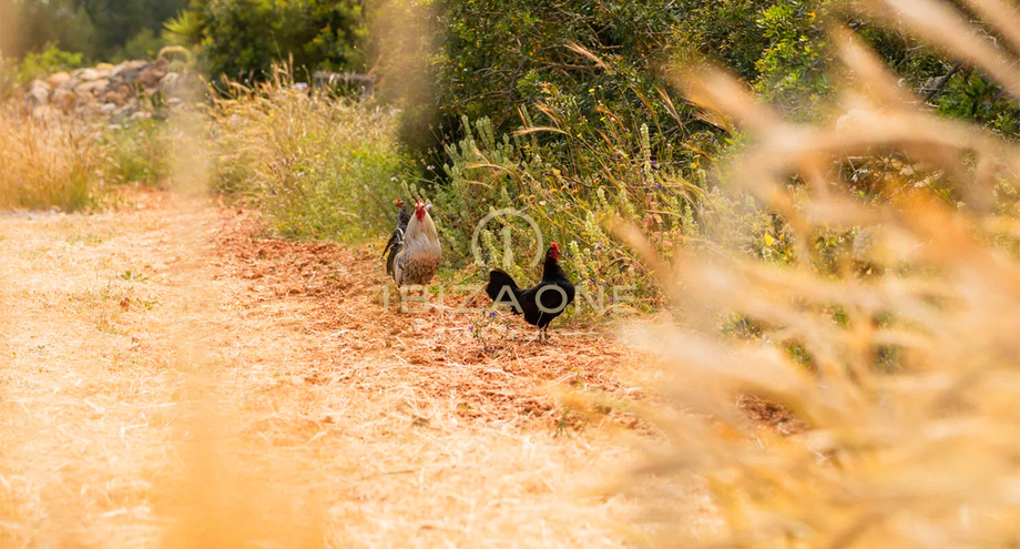 Фотографии объектов недвижимости