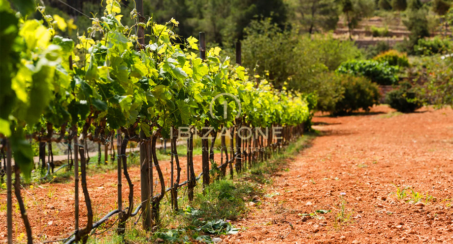 Фотографии объектов недвижимости