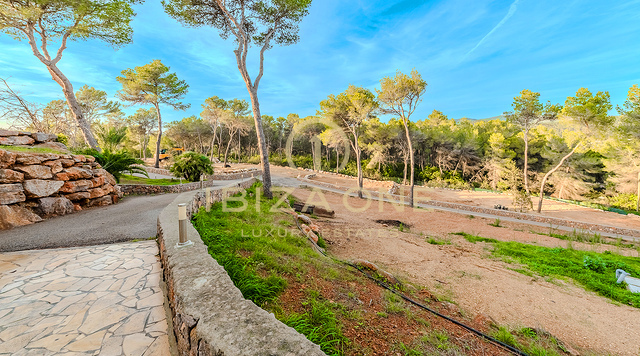 Photos of the property