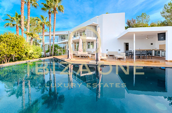 Thorsten Nehls - Can Mares