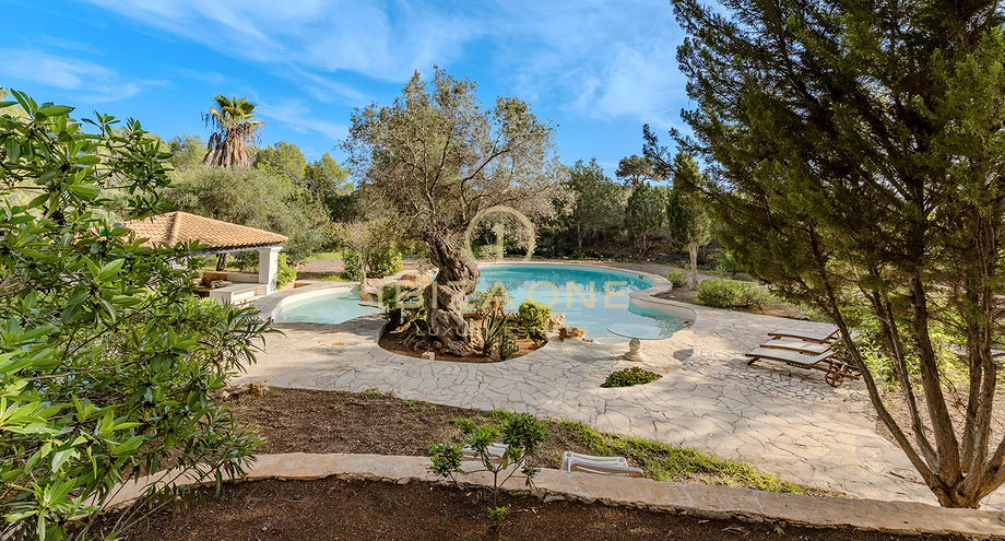 Photos of the property