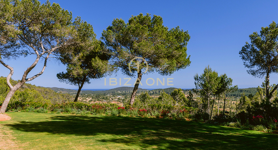 Photos of the property