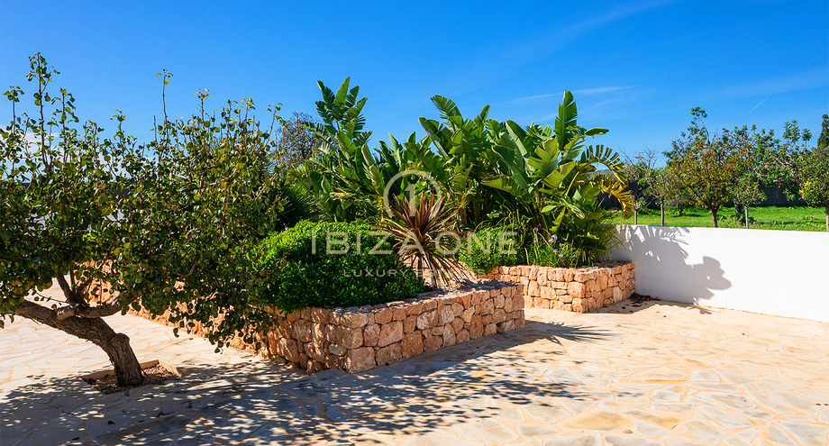 Photos of the property