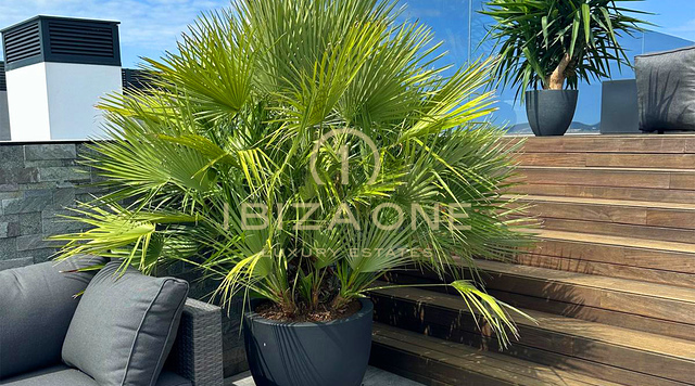 Ático moderno de lujo con amplia terraza, acabados de primera calidad y ubicación privilegiada cerca de Talamanca en venta, Ibiza - Ático moderno de lujo con amplia terraza, acabados de primera calidad y ubicación privilegiada cerca de Talamanca en alquiler, Ibiza